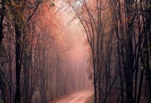 股票配资的正规平台:正规在线炒股配资知识门户-金融监管总局、央行、证监会等8部门集体出手 23条具体举措支持小微企业融资