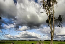 电脑股票app排行榜前十名:股票配资集中网站-“CPO三杰”携手新高！成交总额刷历史纪录 通信板块领跑市场 指数估值情况一览